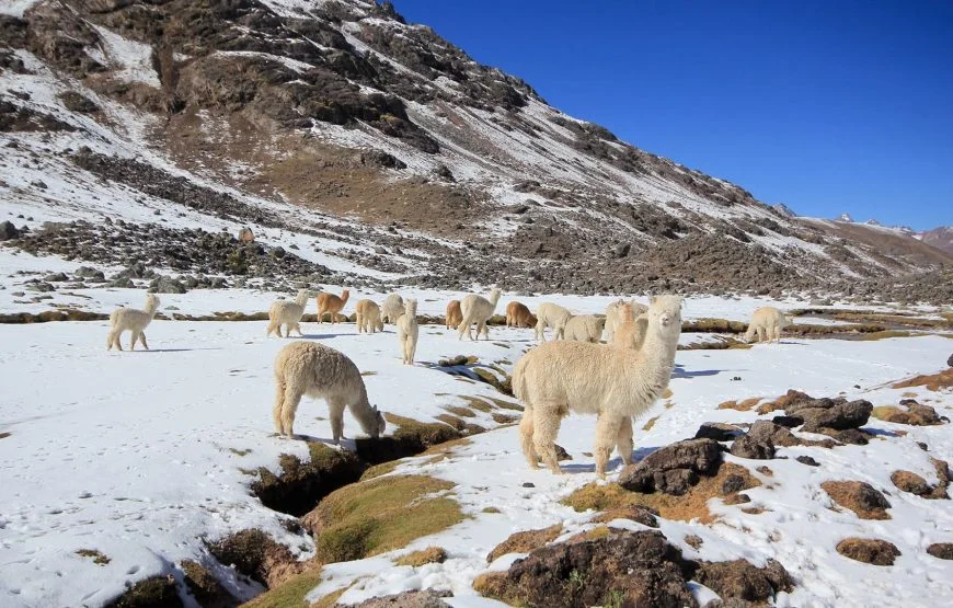 7 Lagoons of Ausangate Full Day Trek from Cusco - Andean scenery along the route