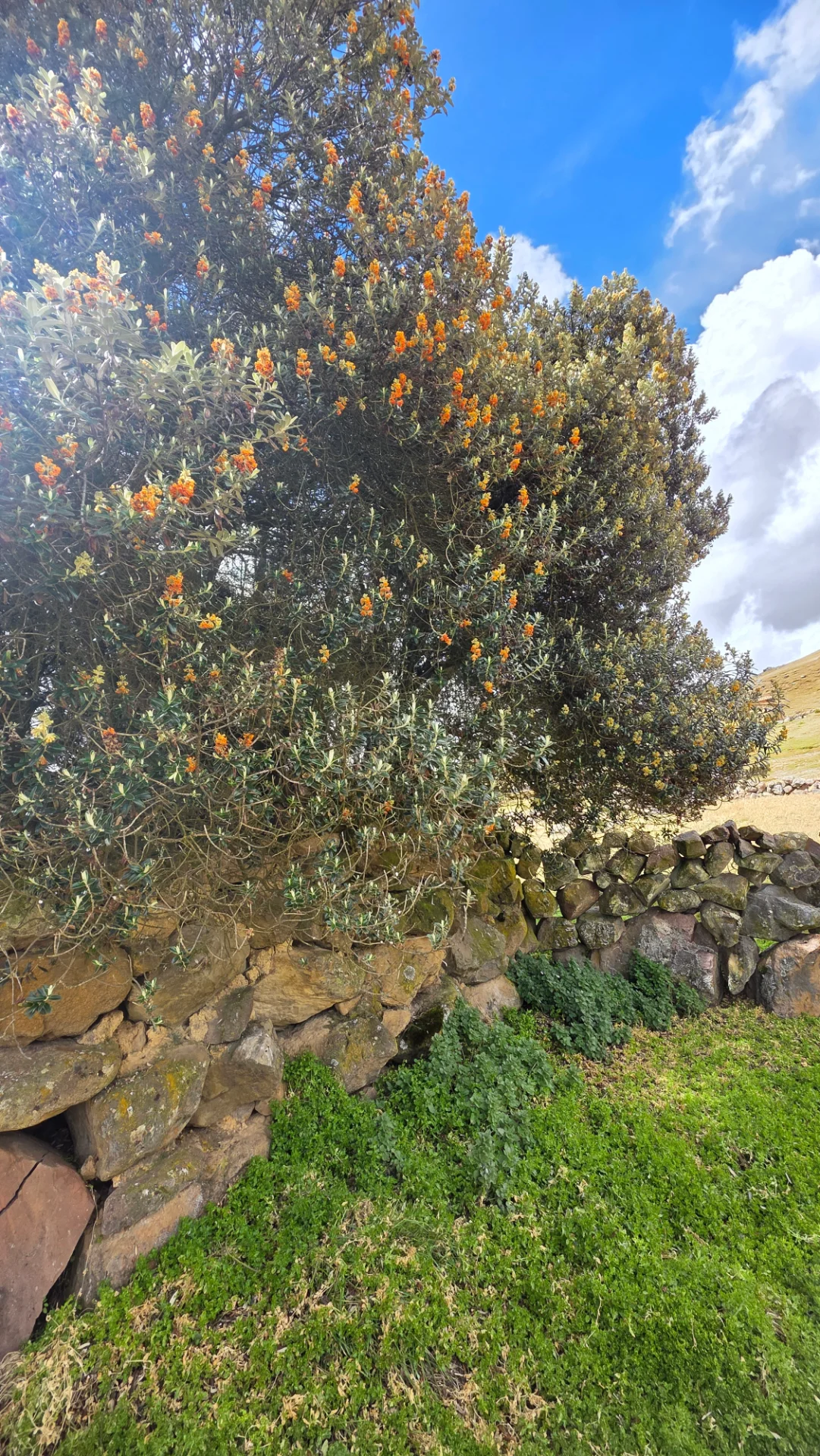 Ausangate Trek 5 Days - Andean scenery along the route, Cusco, Peru