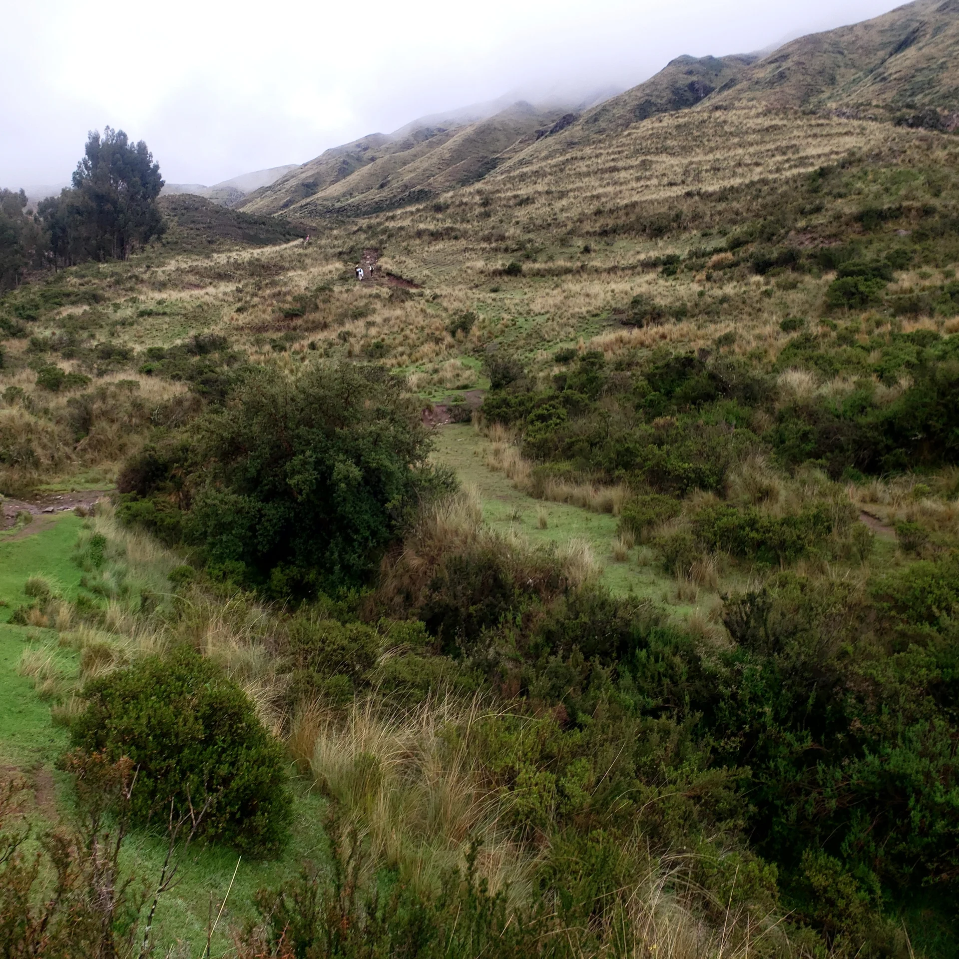 Huchuy Qosqo Full Day Trek from Cusco - trail and mountain landscape