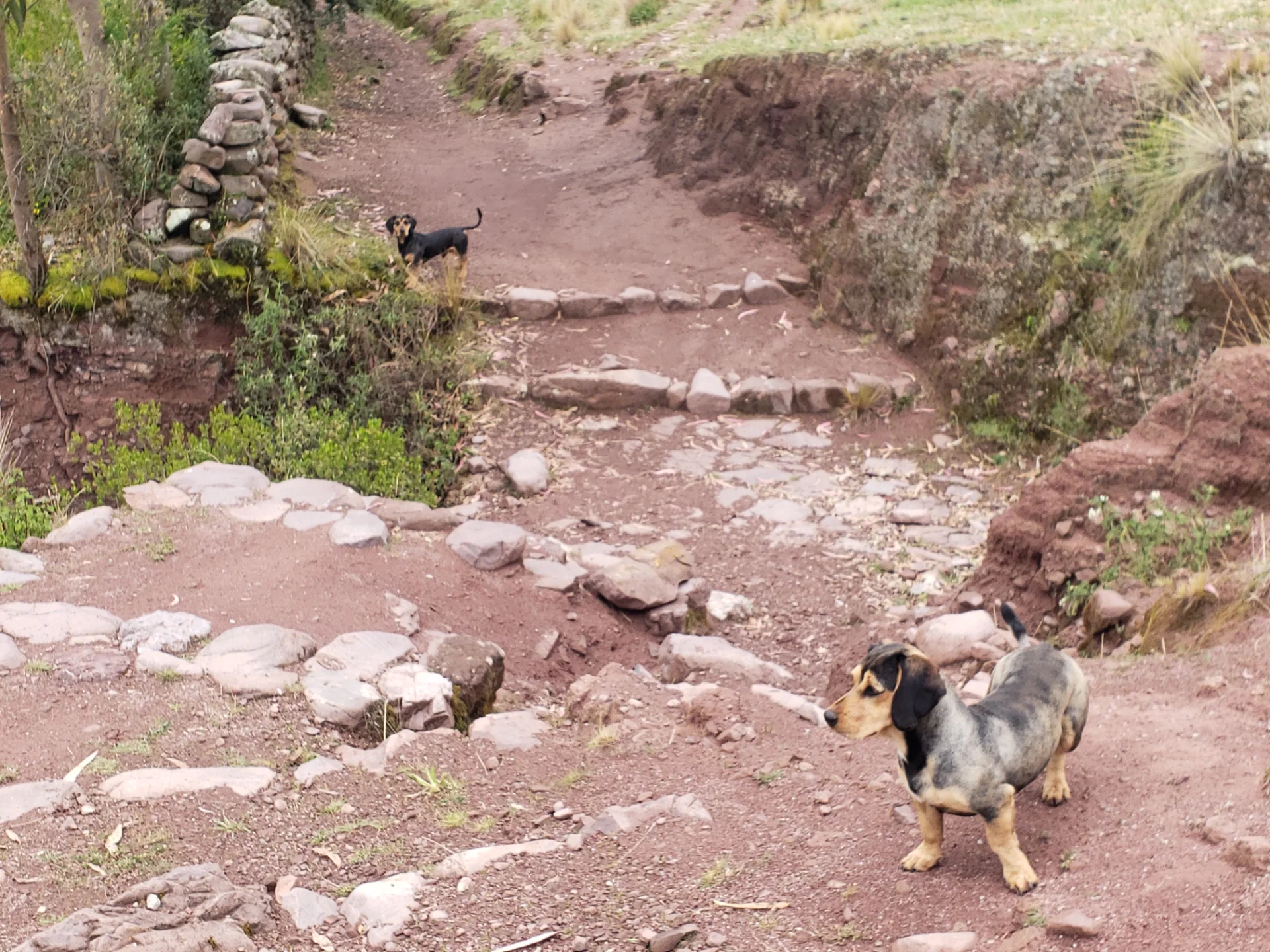 Huchuy Qosqo Full Day Trek from Cusco - high-altitude landscape