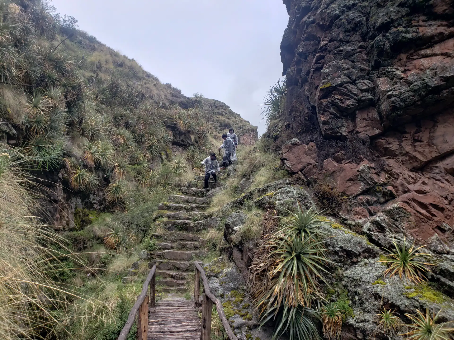 Inca steps in the ravine on the descent towards Huchuy Qosqo.