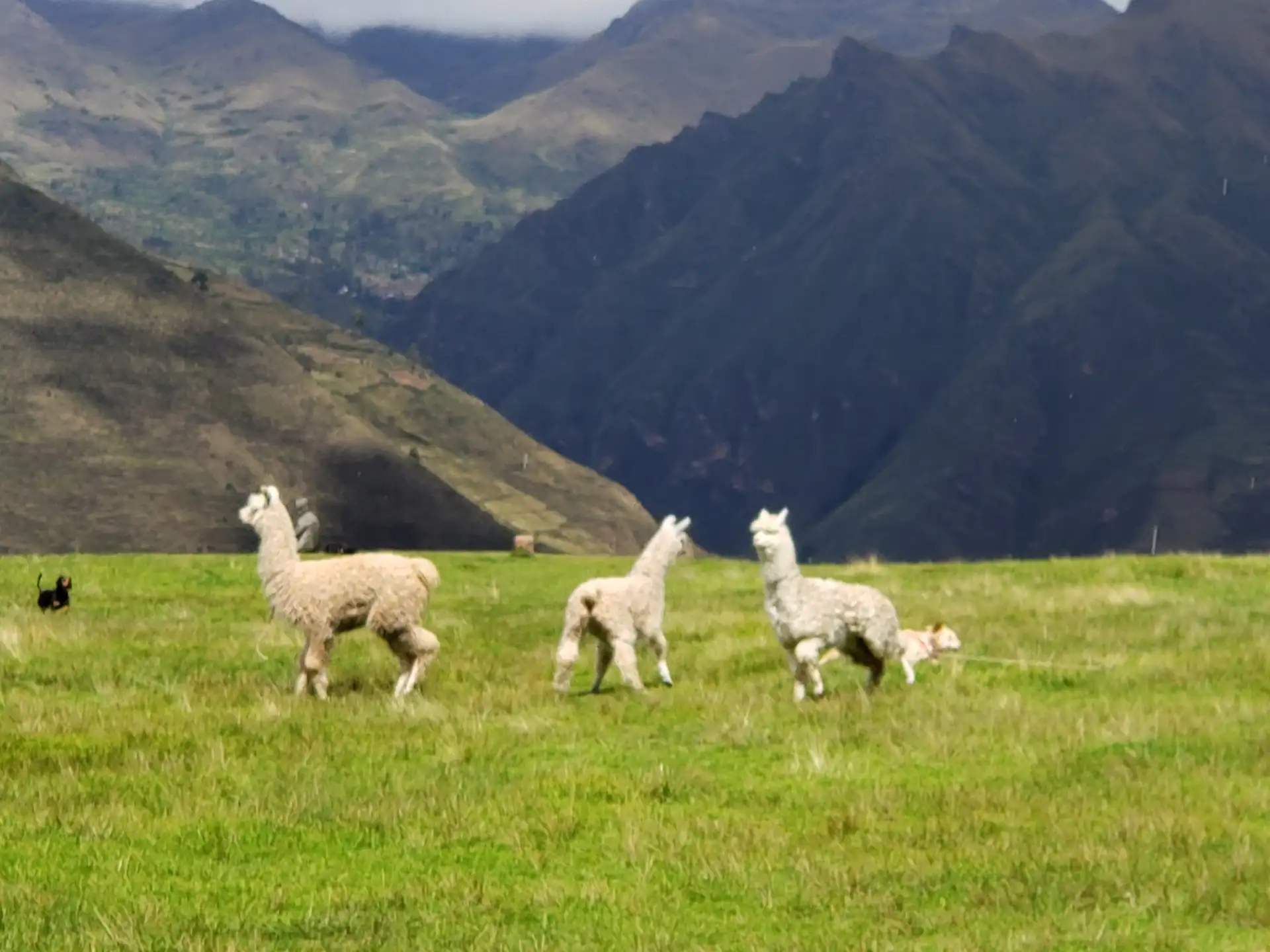 Cusco em dezembro: clima, Natal e dicas