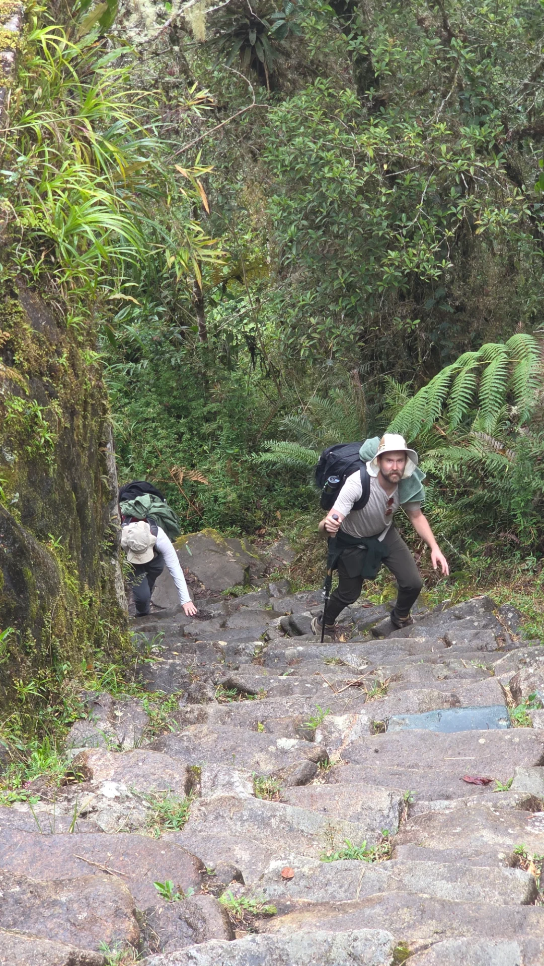 Short Inca Trail 2 Days / 1 Night to Machu Picchu - Andean scenery along the route