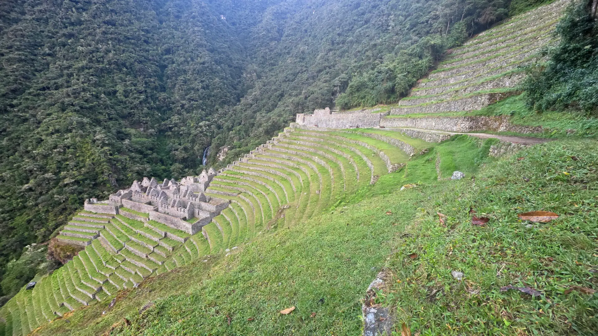 The terraces of Wiñay Wayna on the Inca Trail.