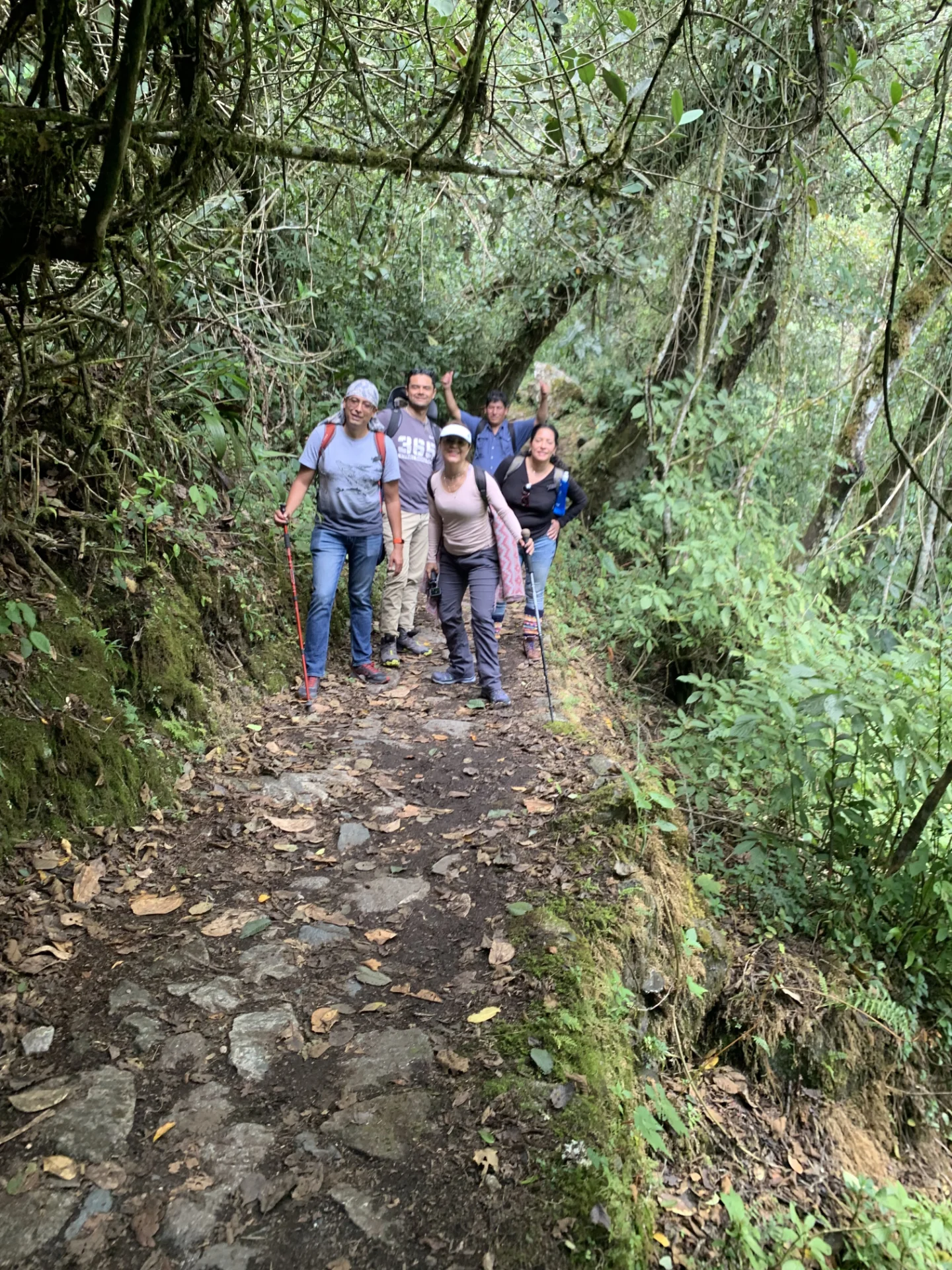 One Day Inca Trail Km 104 to Machu Picchu - mountain views