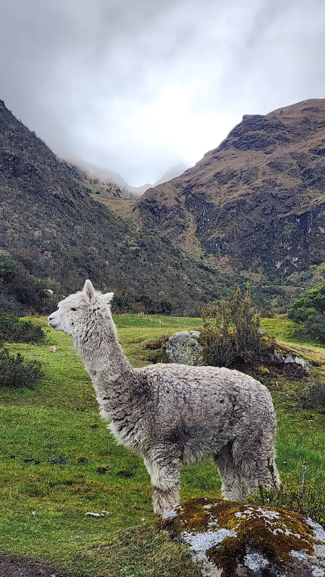 High Andean passes, Peru